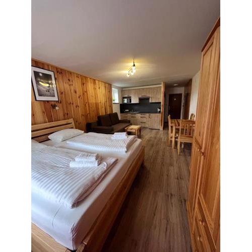 Kaprun Mountain Studio - Skibus stop 100m