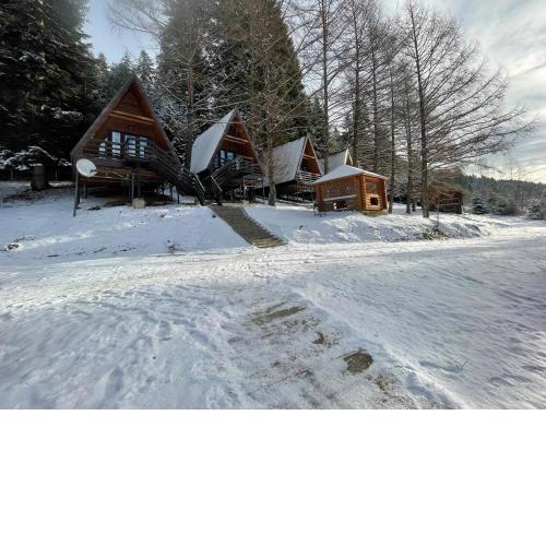 Karpatskyy