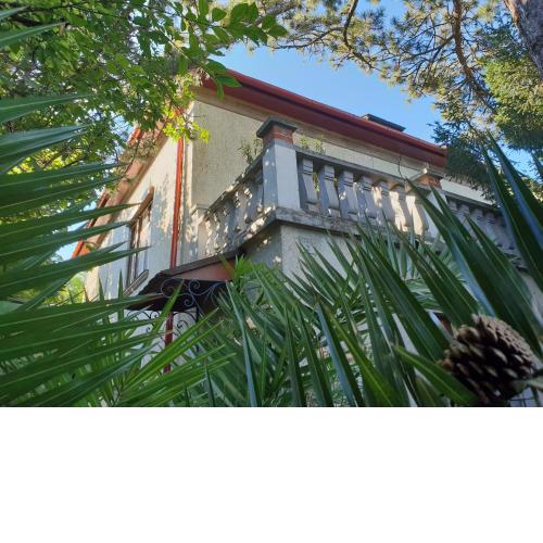 Kasza Villa