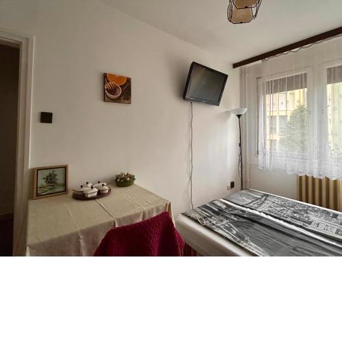 Kedves Kuckó a belvárosban
