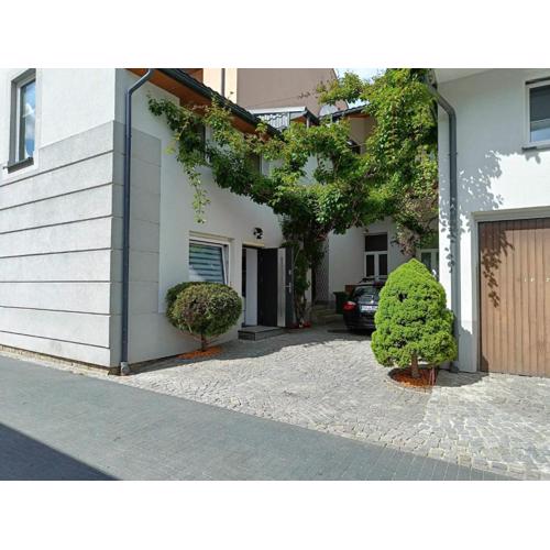 KIWI Apartament