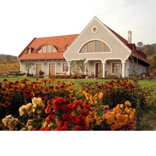 Koczor Winery & Guesthouse