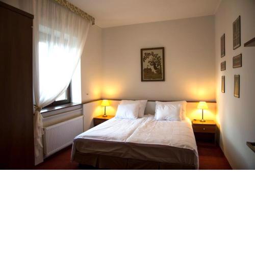 Kompleksowo wyposażony apartament w centrum