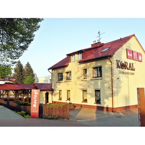 Koral