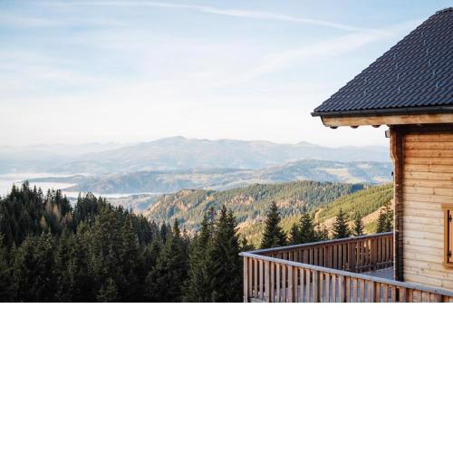 Koralpe holiday home with its own wellness area