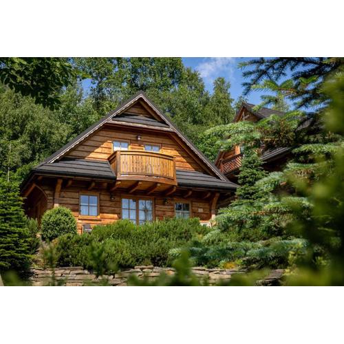 Kotelnica Resort