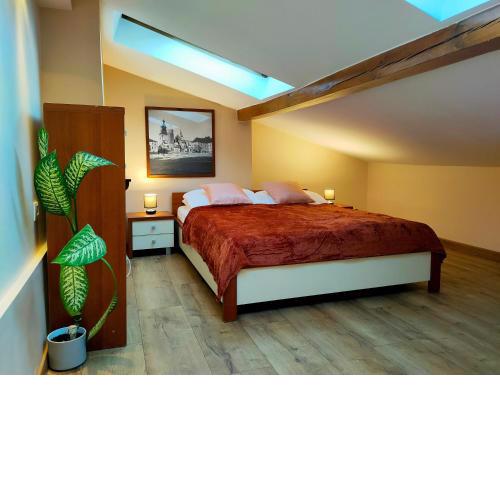 Krakow Old Town Apartment