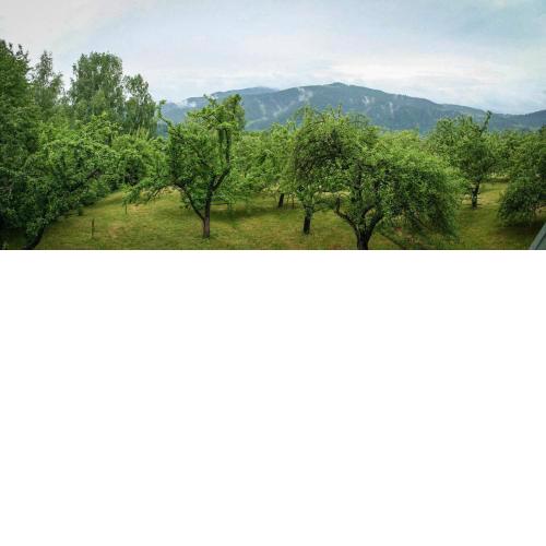 Kremena