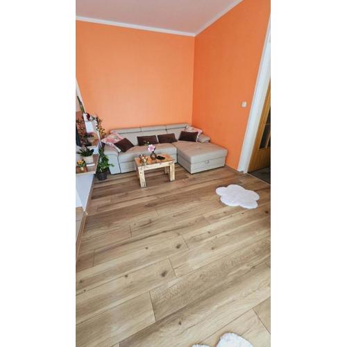 KRISTINA NV - Apartment 50 m from the beach