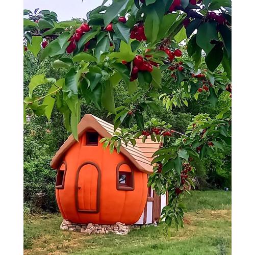 Krka Magic Pumpkin