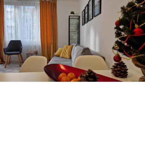 Krolewska Centrum apartament 4X
