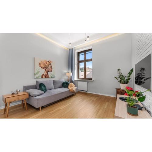 Krupnicza Apartment by VSI