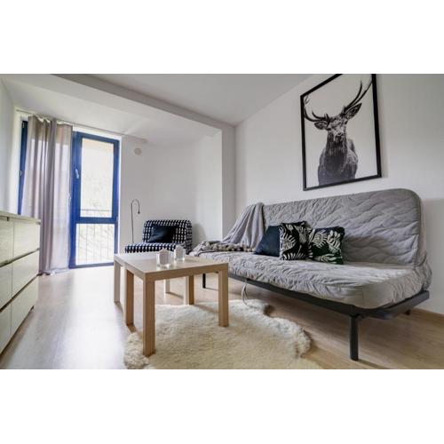 Krynica Apartamenty Rodzinny Apartament w Centrum 43