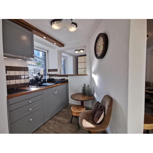 Kryształowy Apartament z pięknym ogrodem w centrum uzdrowiska