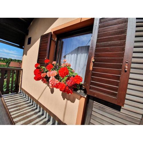 Kuca za odmor Juraj - Apartmani Barsic