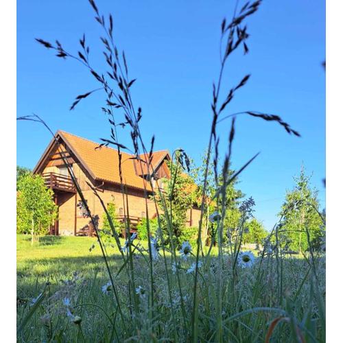 Kumaczówka Mazury