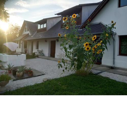 Kutny Residence -Chateau Schaal