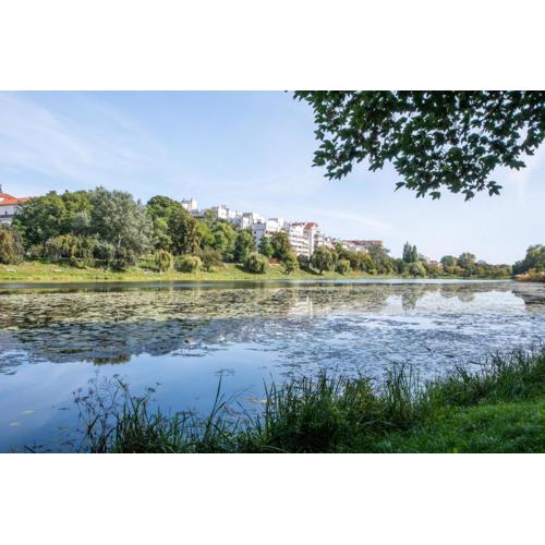 L Ajax Park mini Stadion Narodowy