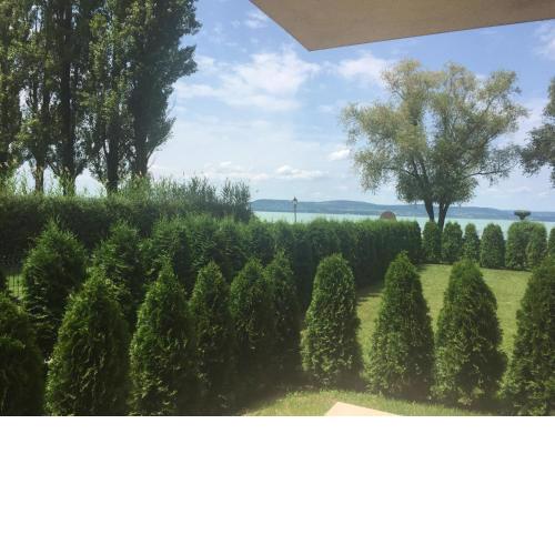 Lakeview Apartment