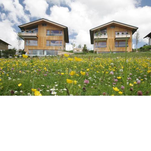 LAMA Appartement