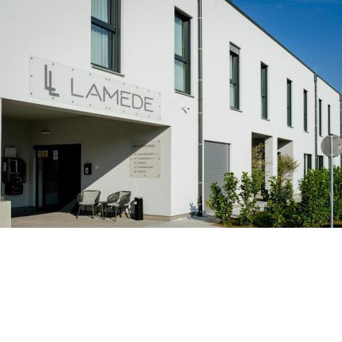 Lamede