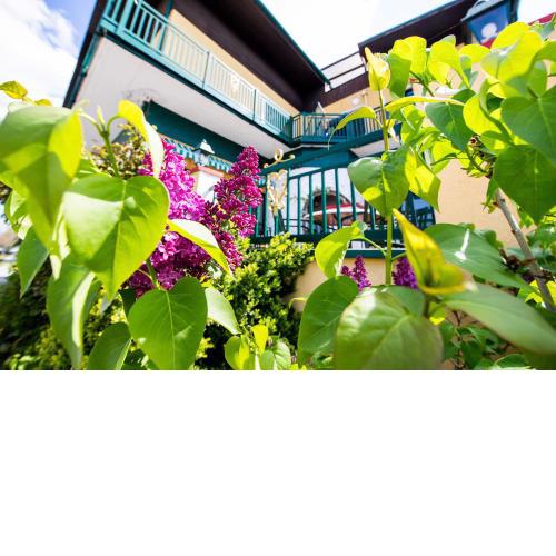 Landgasthof zur Goldenen Traube