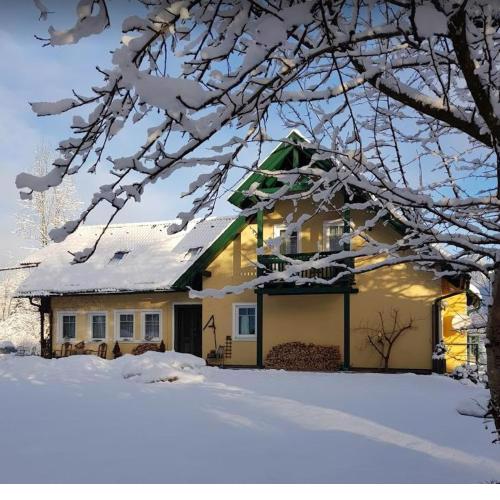 Landhaus HALLSTATT FEELING - Apartment - Self Check-in