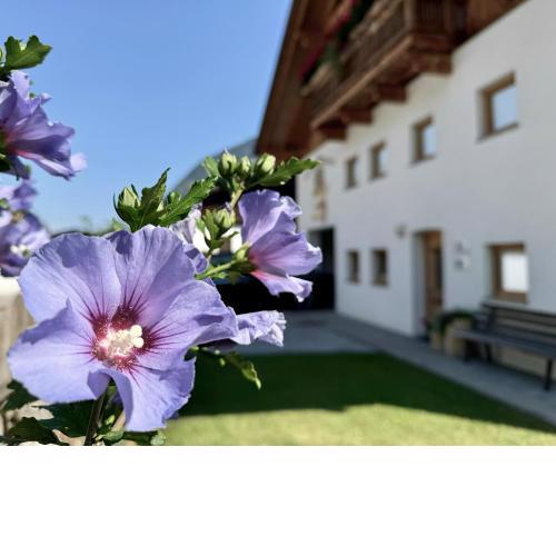 Landhaus Waldhart