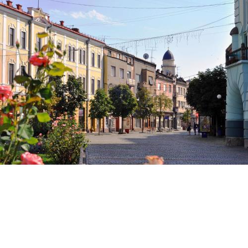Large apartment in the city center