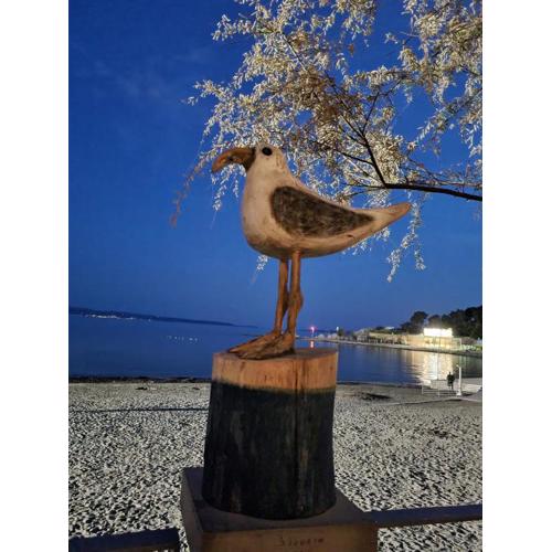 Larus