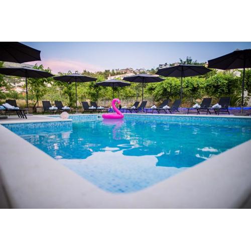 LCT Blue Lions Apartments