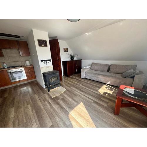 Leba - Apartament z tarasem przy kanale portowym - widok na statki