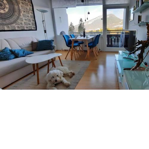 Lebensfreude Appartement
