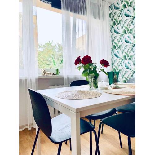 Legnica Apartament 42m2 Delux 4