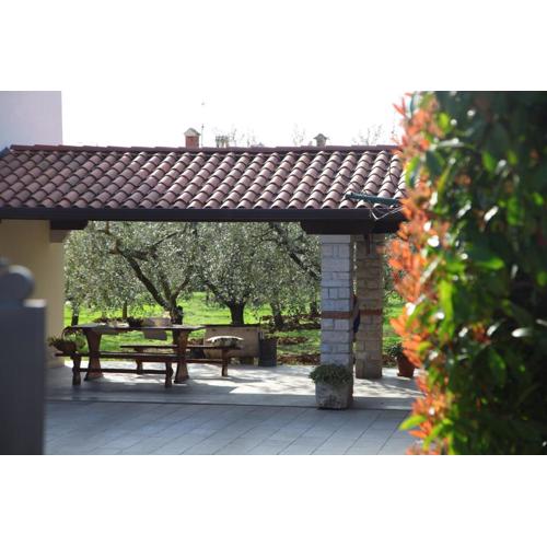 Lemon and Orange Apartments