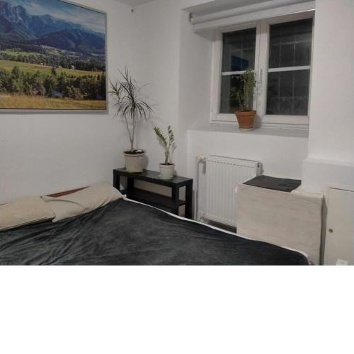 Lemon Tree Hostel