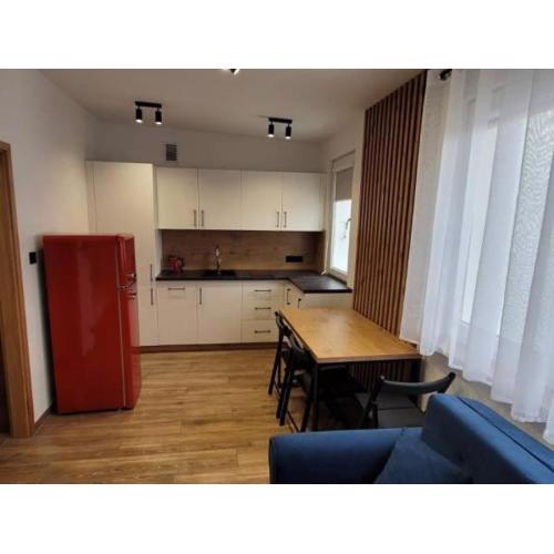 Leśna Apartment