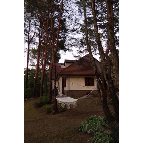 Leśna SPA Willa pod Warszawą Jacuzzi, Sauna, Kominek, Sport & Joga