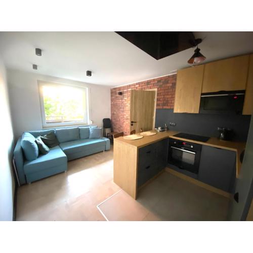 Leśne Apartamenty - Apartament Szary