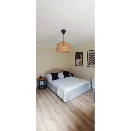 Leśne Szlaki AP Apartment\
