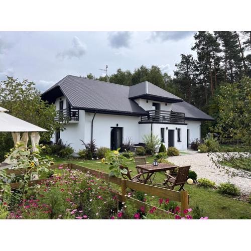 Leśne Zacisze Sochy