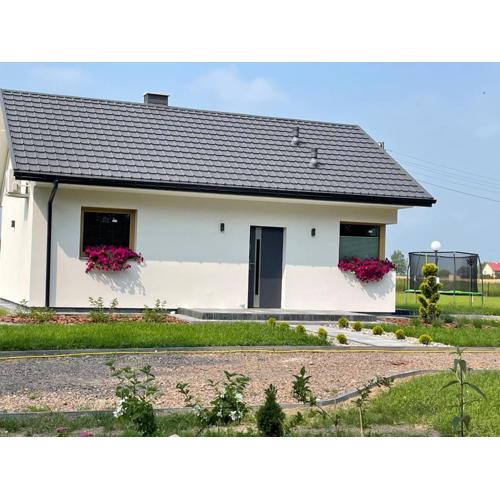 Leśny Horyzont Bałtów