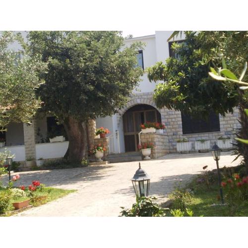 Licul Modern retreat