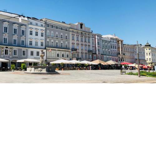 LINZ CITY CENTER - Historisches Apartment & Refugium