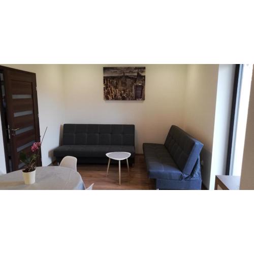 Lion Apartment