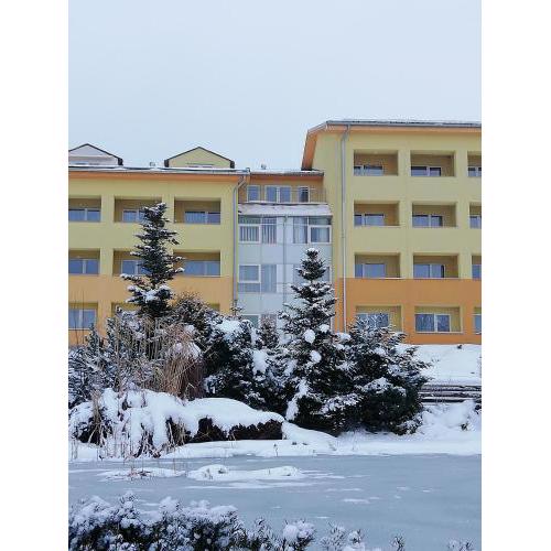 Lipno Wellness - Frymburk C 301