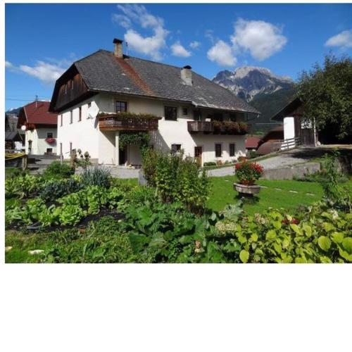 Lissis Bauernhof Appartments