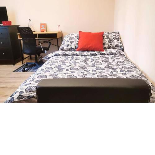 Little Big Red - Central Modern Studio