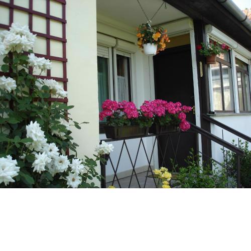 Liza Apartman