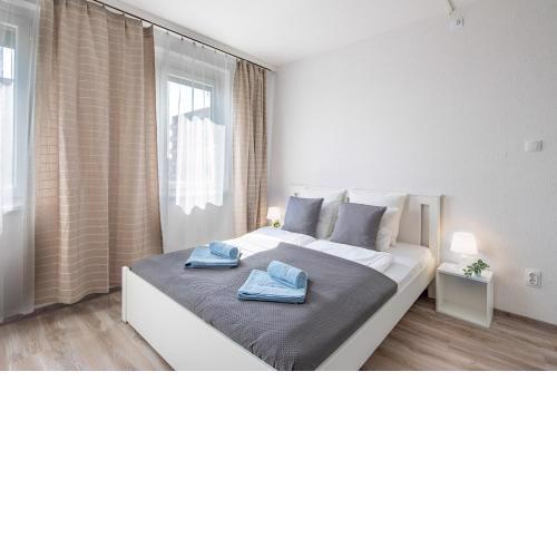 LIZO 1 apartman